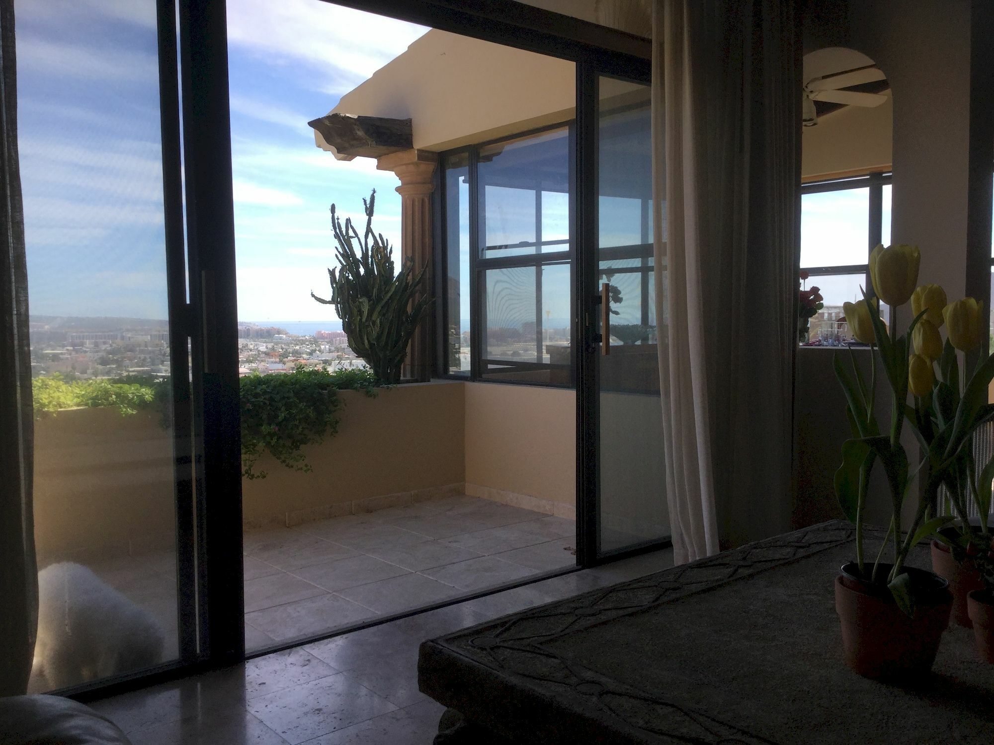 Appartement Sunrise Cove Luxury Penthouse à Cabo San Lucas Extérieur photo